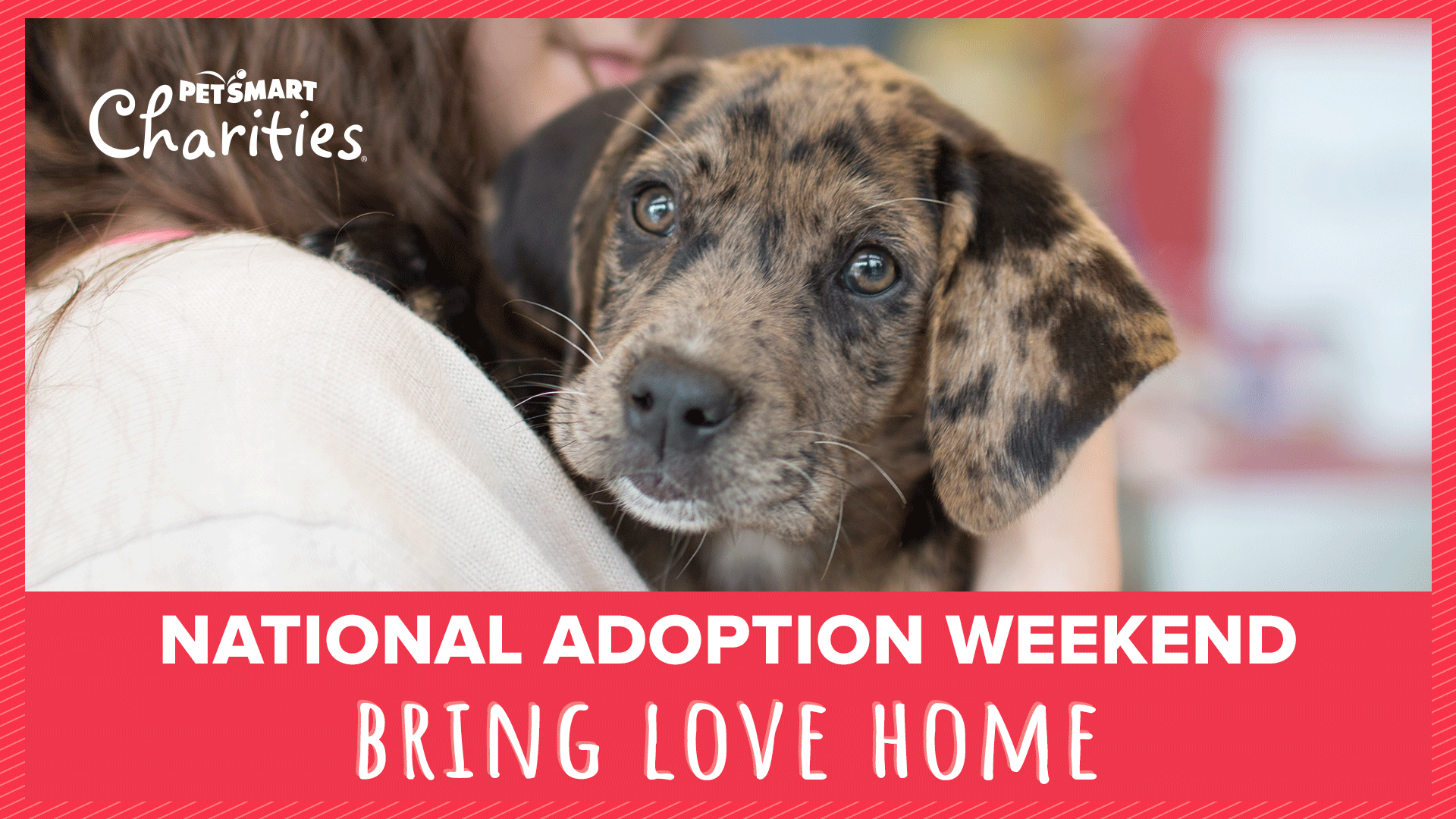 National Adoption Weekend at PetSmart 