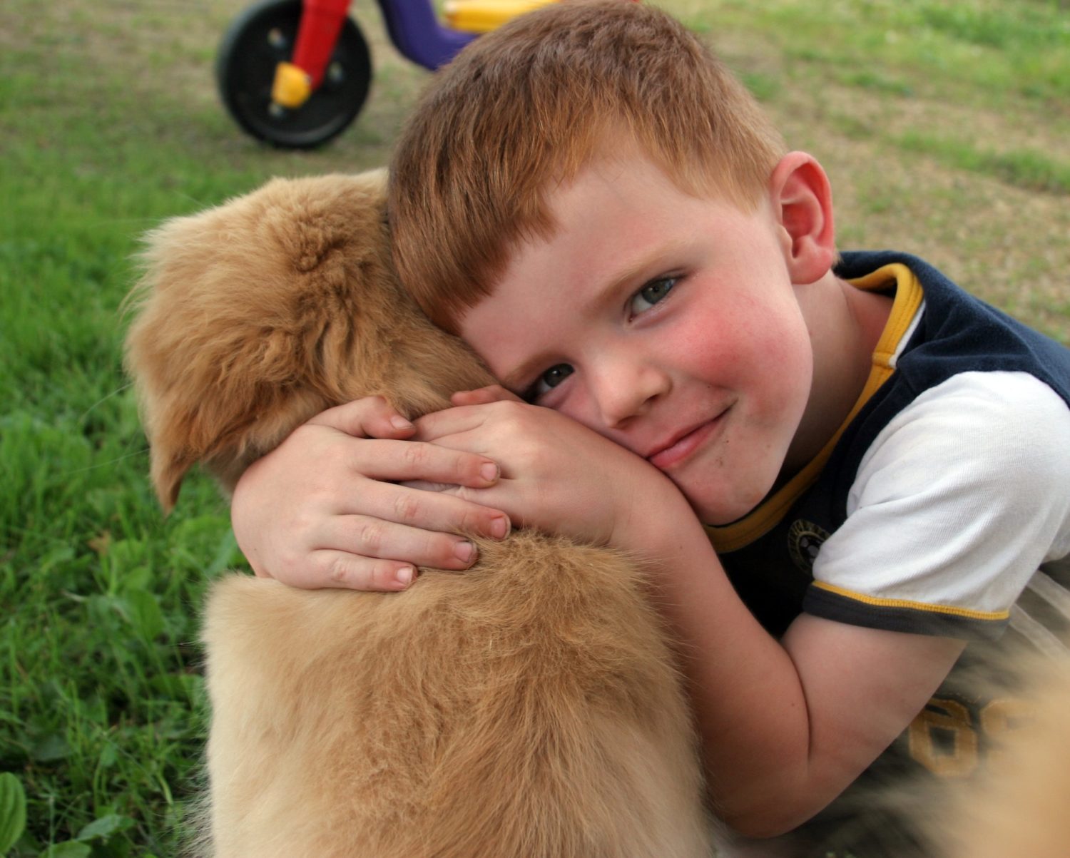 Children store and puppies