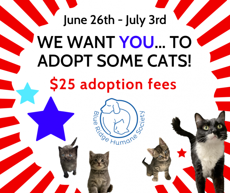 $25 Cat Adoption Fees - Blue Ridge Humane Society