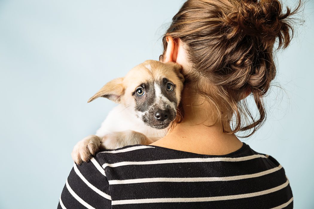 Ask Crystal: Investigating Destructive Crate Behavior - Blue Ridge Humane  Society