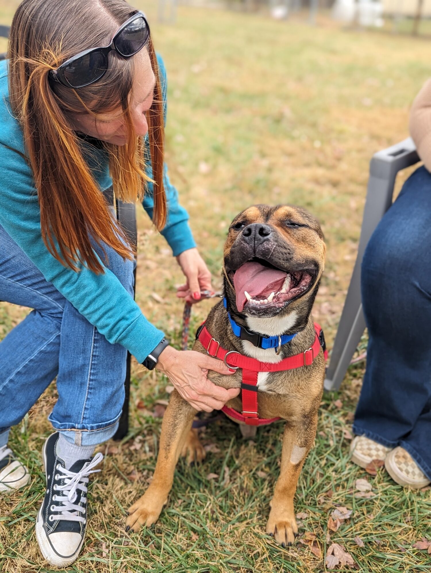 Careers Blue Ridge Humane Society Hendersonville NC