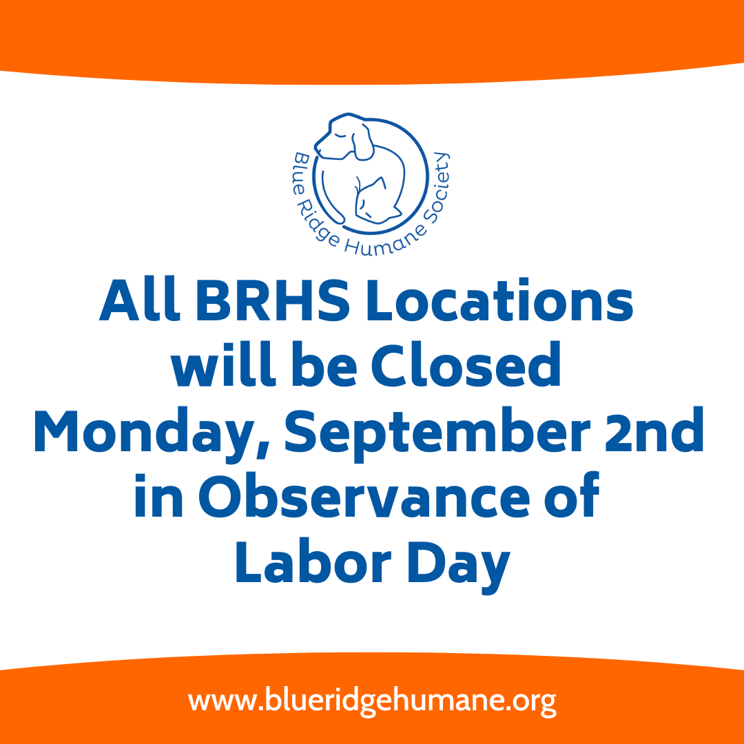 labor day closure sign